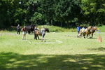 _DSC9806.JPG
