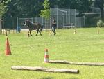 IMG-20250629-WA0014.jpg