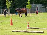 IMG-20250629-WA0024.jpg