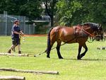 IMG-20250629-WA0025.jpg