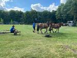 IMG-20250629-WA0032.jpg