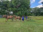 IMG-20250629-WA0042.jpg