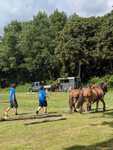 IMG-20250701-WA0004.jpg