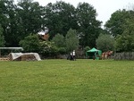IMG_20240524_151807304.jpg