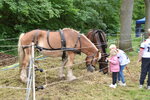 Treideln-Nordhorn-2026-01.jpg