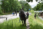 Treideln-Nordhorn-2026-02.jpg