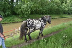 Treideln-Nordhorn-2026-05.jpg