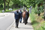 Treideln-Nordhorn-2026-08.jpg