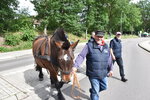 Treideln-Nordhorn-2026-09.jpg