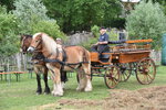 Tierpark-Nordhorn-2026-01.jpg