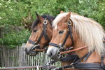 Tierpark-Nordhorn-2026-02.jpg