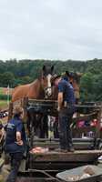 IMG-20230827-WA0012.jpg
