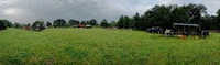 IMG_20240524_070512569-EDIT.jpg