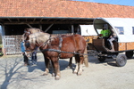 IMG_2247.JPG