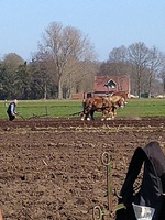 IMG_20220327_151247.jpg