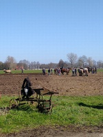 IMG_20220327_151218.jpg