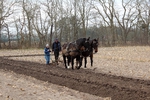 2025-03-23 Pflügetraining Anneken-IMG_2269_Slideshow.jpg
